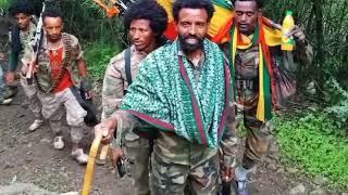 ሰበር ዜና | | ethiopian news august 15,2024