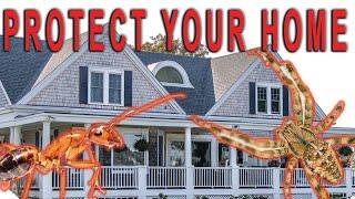 How-to Protect Your Home From Insects & Spiders Using Tempo SC Ultra