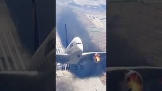 Cow Accidently Came During Airplane Landing GTA V