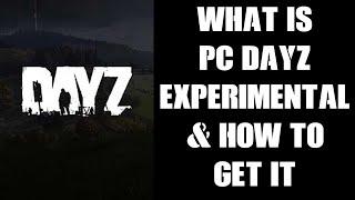 Beginners Guide: What Is PC DayZ Experimental & How To Get & Download It & Get On The  Test Server