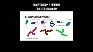 Возбудители и лечение бронхопневмонии #пневмония #бронхопневмония #инфекция #легкие