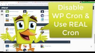 How to Disable WP CRON and Use Real Cron Job for WORDPRESS with CPanel