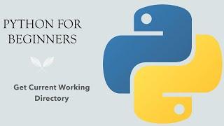 #60 Python for Beginners: Get Current Working Directory In Python