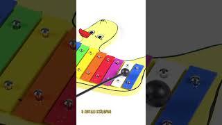 Midex KSL-09 Kaliteli Ksilofon Çocuklar İçin Eğitici Müzik Aleti