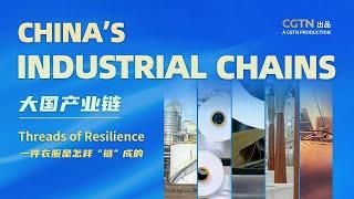 CGTN Documentary | China's Industrial Chains: Threads of Resilience