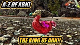 A-Z Of Ark! The DODO And Why Its The King Of ARK!! || Ark Survival Evolved!