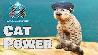 The COMPLETE CAT Guide in Ark Survival Ascended
