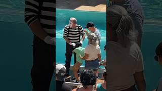 good trick  it is back  Tom mime seaworld #seaworldmime #comedyvideos #funny #mime  #seaworld