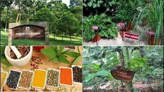 Spice Garden  Sri Lanka | Lanka’s world renowned spices | Vanilla,Cinnamon, Pepper, Cardamom& Nutmeg