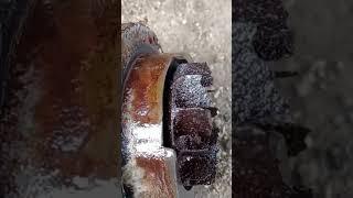 подарки на каждом шагу