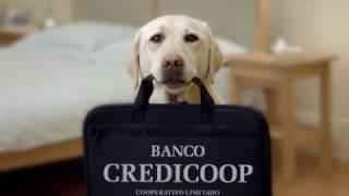 Banco Credicoop "Animales Cooperativos"