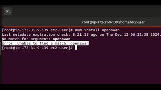 How to fix error installing openswan on Amazon Linux 2023 - Error: Unable to find a match: openswan