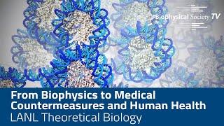 From Biophysics to Medical Countermeasures and Human Health: LANL Theoretical Biology