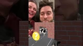 had me laughing so hard  “stink moo moo” #schatzandchet #ohschatz #comedy #lol #filter