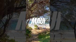 Maui Life 2025 #maui #hawaii #travel https://mauihappyhours.net