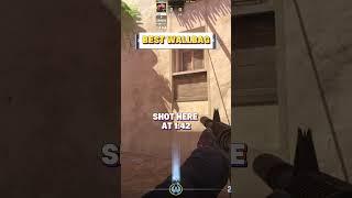 Best Wallbag on Mirage