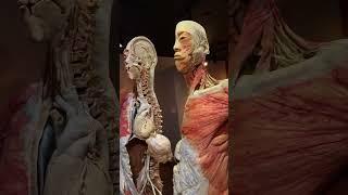 Have You Checked Our REAL BODIES Yet?!