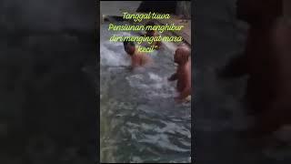 para kakek mandi sungai bening,telanjang, Slamet SPd official, Lpk Uri Sarang