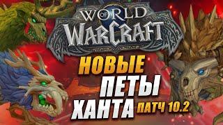 Новые петы ханта ДФ wow dragonflight патч 10.2 Подробный гайд Стражи Сна вов драгонфлай