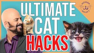 The Best Cat Tips!