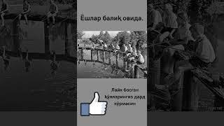 Ёшлар балиқ овида.