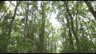 The Wildlife Trusts - Tomorrow's Wildlife