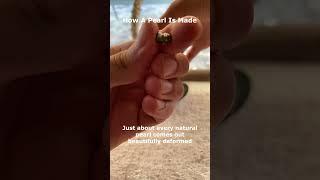 How a Pearl is Made