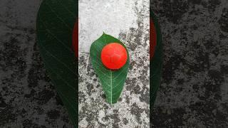 red egg 9 #egg #eggs #telur