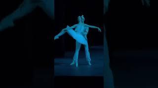 #Arina#Denisova#DmitriyVyskubenko#dance #balletdance #ballet #ballerina