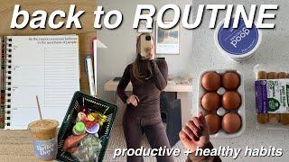 Getting Back to ROUTINE! planning, working out, grocery shopping & cleaning