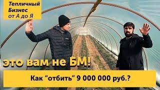 Это вам не БМ! Как отбить 9 млн с теплиц?