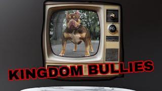 Kingdom Bully Kennels/ This is us #xlbully #dogbreed