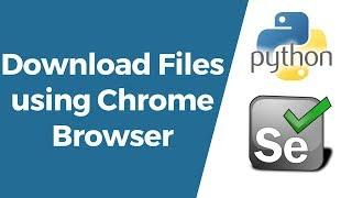 Selenium with Python Tutorial 22- How to Download Files using Chrome Browser