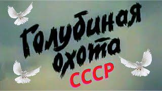 Голубиная охота! Голуби и Голубятники СССР!