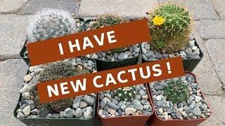 New Cactus Unboxing (Orders from Planet Desert)