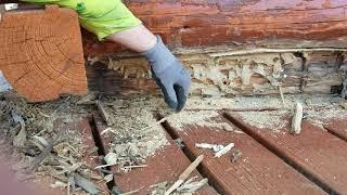 Log Home Restoration: Improper Log Rot Repair