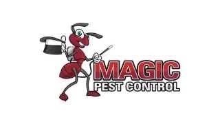 Termite Control Phoenix | Magic Pest Control