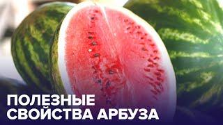 Полезные свойства АРБУЗА. Отвечает диетолог