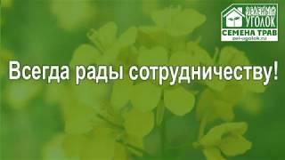 Как работает интернет-магазин Зеленый уголок