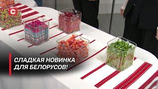 Инвестиции со вкусом! Какие новые конфеты появятся на продуктовых полках белорусов?