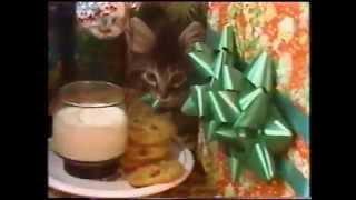 Iconic Bangor Savings Bank Christmas Kittens Commercial