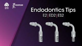 Woodpecker Endodontics Tips: E2, ED2, ES2 #woodpeckerdental  #endodontics  #endotips