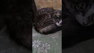 Who is beauty today  Lusya
