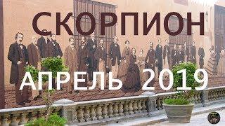 СКОРПИОН. ТАРО ПРОГНОЗ. АПРЕЛЬ 2019