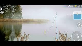 Как и где ловить#пескарь#my fishing world