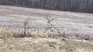 MBEST MBVD ( Delta Track way )