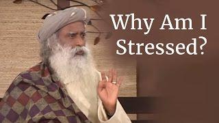 Why Am I Stressed? - Sadhguru on Stress