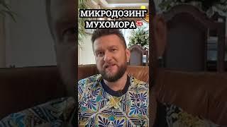 Почему микродозинг полезно? | ПАВЕЛ ДМИТРИЕВ #shorts #микродозинг #павелдмитриев #мухомор