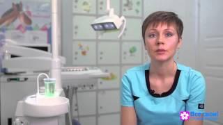 Детская стоматология в сети стоматологий «Все Свои!»