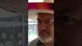 Taco Tuesday with a Kitchen Bandito!  #fancookingtastic #tacos #shorts